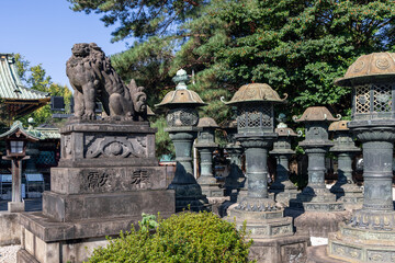 Fototapeta premium Guardian komainu lion stands on a pedestal among bronze lanterns at the entrance of the Ueno Toshogu Shinto Shrine in Tokyo