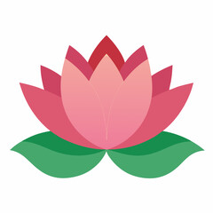 pink lotus flower vector