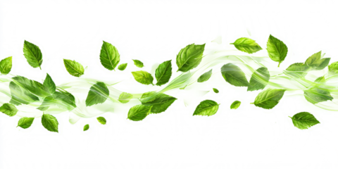 Flying mint leaves forming an abstract wave-like motion, vibrant green, clean white background
