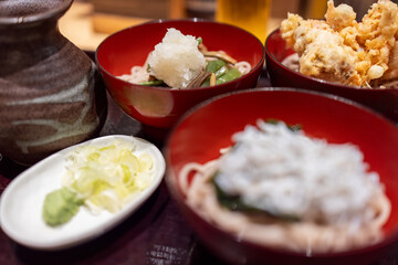 Сlose-up of a traditional Japanese soba noodle set with various ingredients like whitebait fish, mountain vegetables, tempura, and daikon