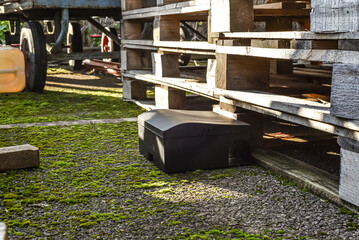 Fototapety na wymiar - Fototapeta24.pl