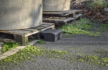 Fototapety na wymiar - Fototapeta24.pl