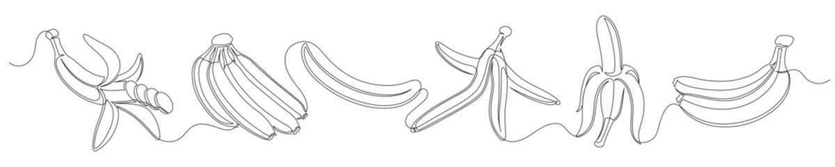 Bananas continuous one line drawing set isolated on a white background. Editable stroke. Outline banana fruit collections. Horizontal banner. Vector illustration