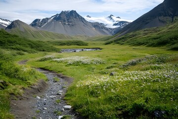 Fototapeta premium Scenic valley with path, flowers, mountains, and glaciers in background