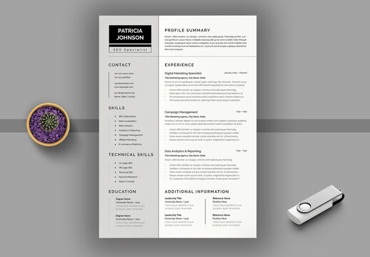 Digital Marketing Strategies Resume Template