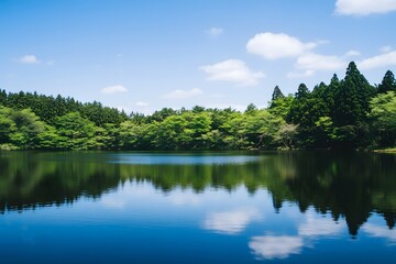 Fototapeta premium Serene lake surrounded by lush green forest reflecting on calm water