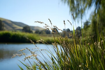 Obraz premium Serene landscape with grassy foreground and water with green hills