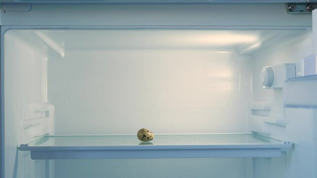 A man's hand opens an empty fridge with only a quail egg on the shelf, concept of empty shelves in a home refrigerator, lack of food or dieting