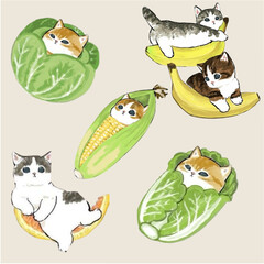 cat and Desserts,food ,vetgetable,fruit illustration