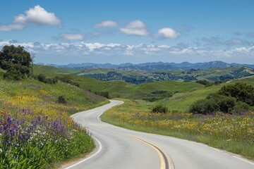 Fototapeta premium Winding road through green hills with wildflowers under a blue sky and scattered white clouds transparent background