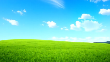 Fototapeta premium A vast green field under a bright blue sky. The composition is simple and spacious, with a low horizon, making the sky stand out more than the rest.