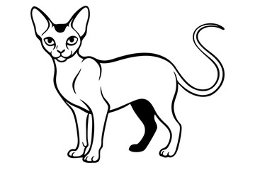 Sphynx Cat silhouette vector illustration
