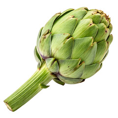 Fototapeta premium Fresh artichoke isolated