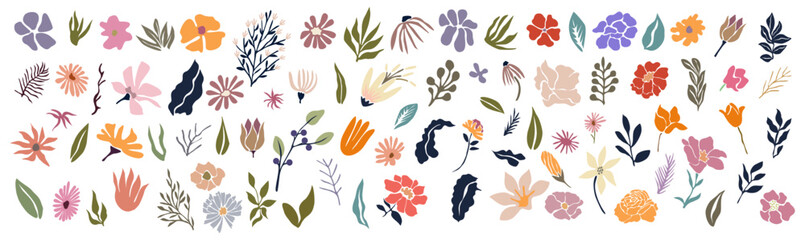 Set of hand drawn floral design elements, abstract shapes. Wild and garden flowers, leaves. Contemporary modern vector botanical art illustrations in trendy colors isolated © Creative_Juice_Art