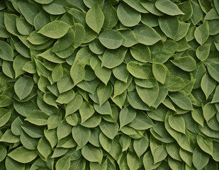 수많은 녹색 나뭇잎이 바닥에 깔린 사진