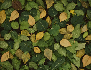 오래된 느낌의 나뭇잎이 바닥에 쌓여 있는 사진