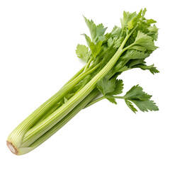 Celery stalk isolated