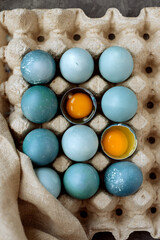 Beautiful painted or dyed blue easter eggs with yellow yolks