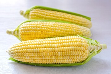 Sweet corn , Raw yellow Sweet corn on white background