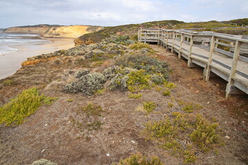 Fototapeta premium Viewpoint at the coast in Torquay, Victoria, Australia 