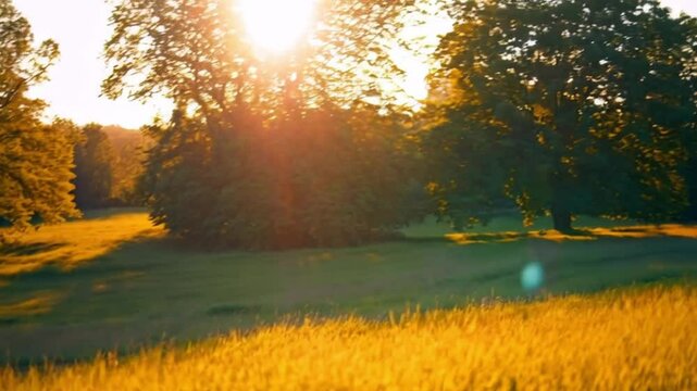 Golden Sunset Over a Peaceful Countryside Landscape