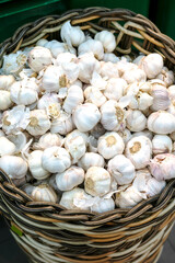 A close-up of a wicker basket overflowing with fresh garlic bulbs, creating a rustic and inviting scene.