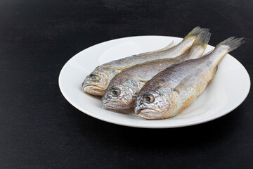 Croaker Fish On Black background