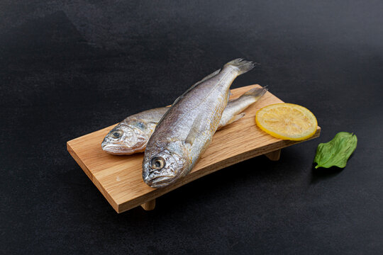 Croaker Fish On Black background