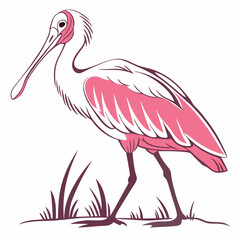 Roseate Spoonbill silhouette vector illustration