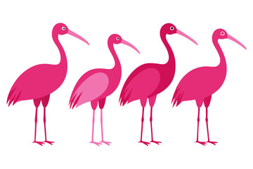 set of Roseate Spoonbill silhouette vector illustration