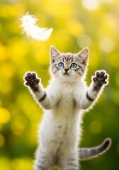 Obraz premium Sunbeam Play: Ginger Kitten's Leaping Joy