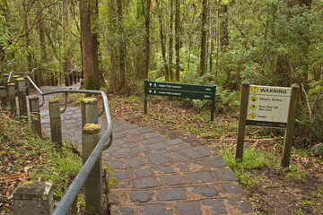 Hiking track to Erskine Falls at Lorne, Victoria, Australia
