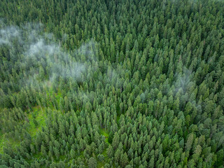 Aerial view of forest and grassland landscape in fog and rain