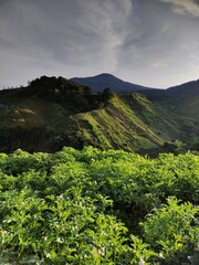 mountain landscape in the morning