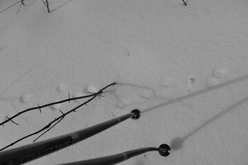 Mont Singer 28 Mars 2025 - N&B