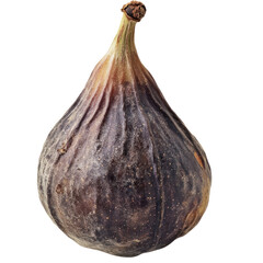 Fototapeta premium Single Dried Fig on transparent background