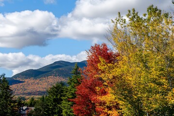 Fototapeta premium Autumn foliage graces mountains under a blue sky with fluffy clouds