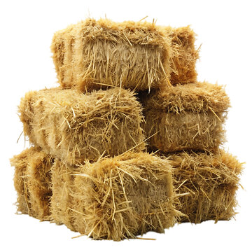 Stacked Hay Bales