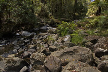 St George River at Phantom Falls at Lorne, Victoria, Australia
