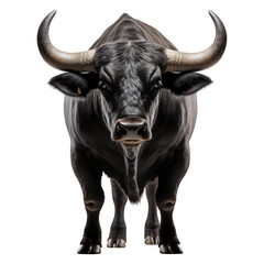Naklejka premium Black bull isolated on transparent background. Generative ai