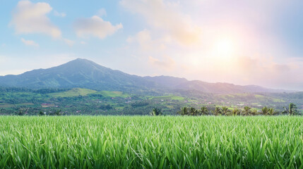Fototapeta premium serene landscape featuring lush green fields foreground, with rolling hills and majestic mountain background bright sky. sun is rising