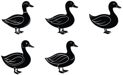 duck vector illustration