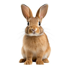 Obraz premium Brown rabbit isolated on transparent background. Generative ai