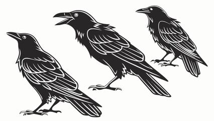 Fototapeta premium Eerie Set of Three Crow Black Silhouettes for Halloween