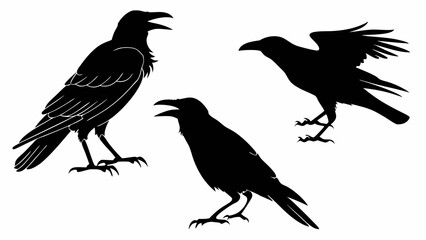 silhouettes of a crow.