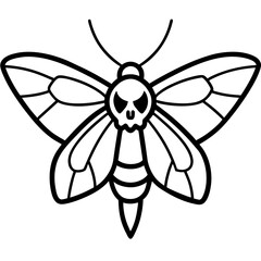 Moth with skull like markings on wings line art vector illustration 