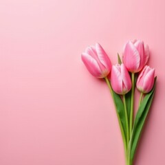 Fototapeta premium Pink tulips on pastel pink background with copy space