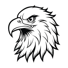Fototapeta premium eagle head vector illustration