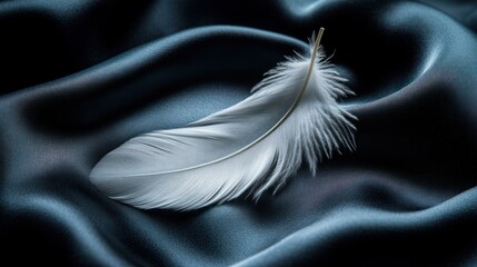 Fototapeta premium Delicate feather on luxurious fabric