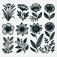 Hand-Drawn Botanical Flower Line Art Illustrations Nature Design Set, Botanical Line Art Flower Illustrations Set